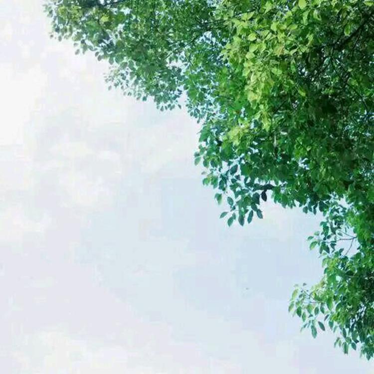 江口洋介（饰 斋藤一） - 体育精华回放在线观看 - 在线影视